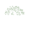 shelter-branco